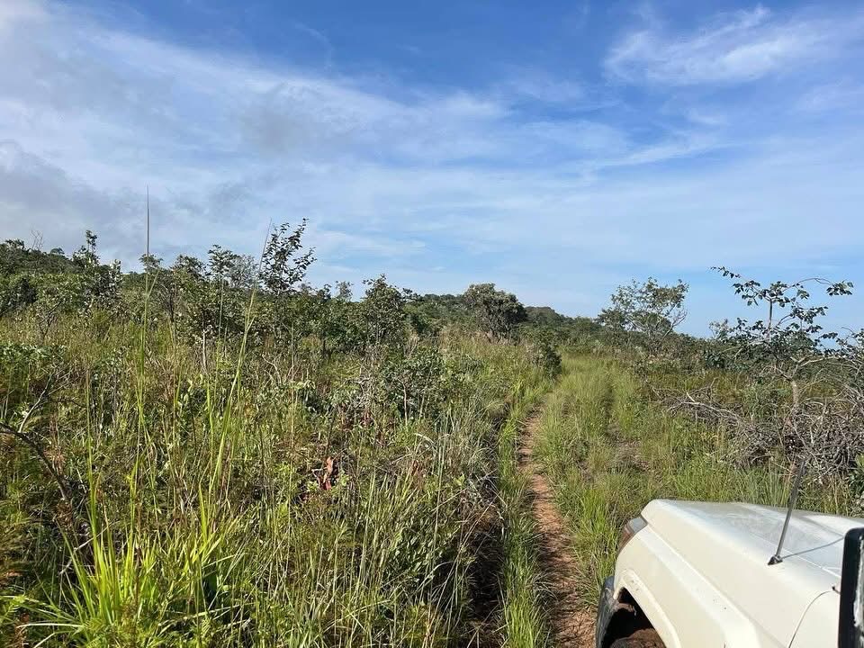 Terreno c/ 1.906,803 hectares 📍 Comuna da Calenga  Município da Caála Província do Huambo  Para fins agrícolas Agro-pecuária e Indústria Hotelaria e Turismo  VENDA por  Kz 800.000.000,00 
